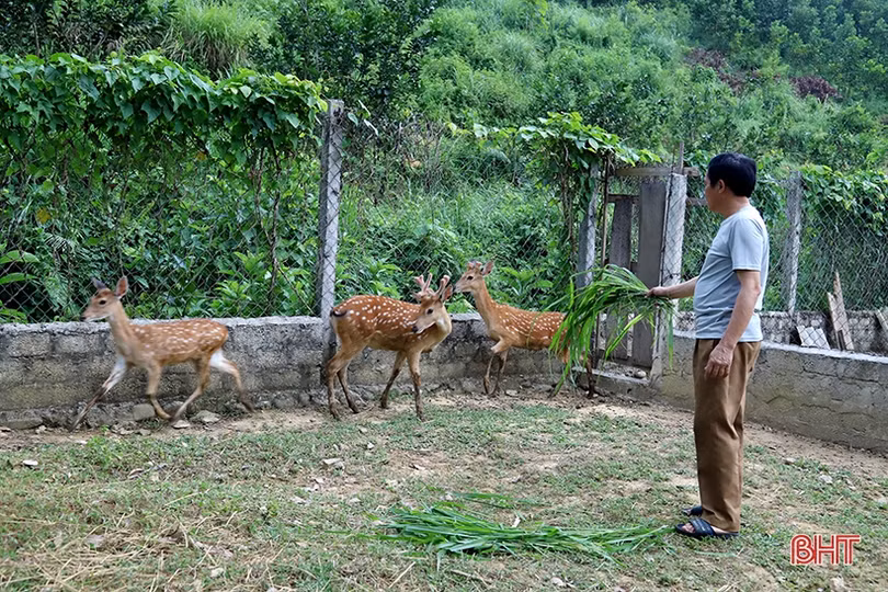 Sơn Kim 2 hướng tới xã nông thôn mới kiểu mẫu, phát triển du lịch sinh thái