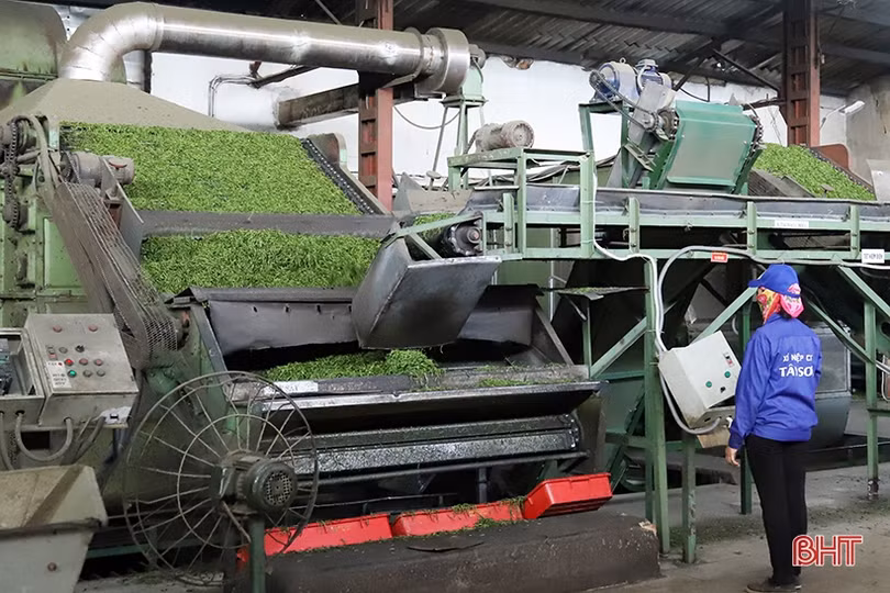 Sơn Kim 2 hướng tới xã nông thôn mới kiểu mẫu, phát triển du lịch sinh thái