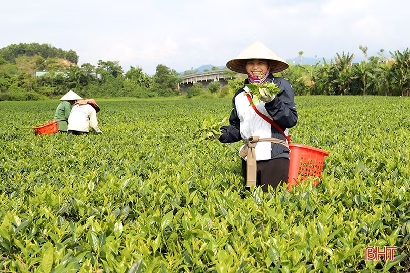 Sơn Kim 2 hướng tới xã nông thôn mới kiểu mẫu, phát triển du lịch sinh thái