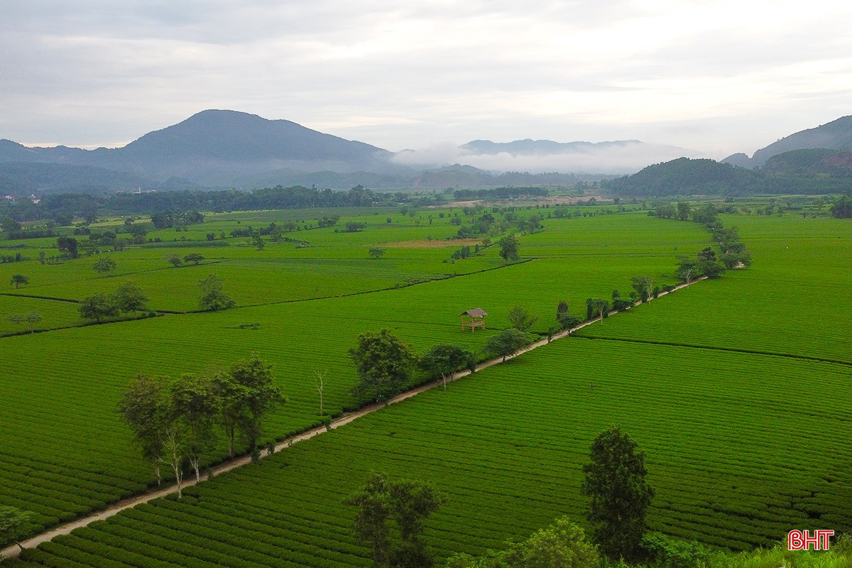bqbht_br_1dji-0303.jpg