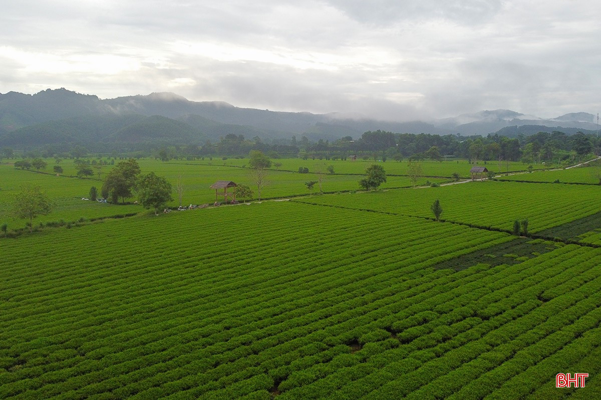 bqbht_br_1dji-0353.jpg