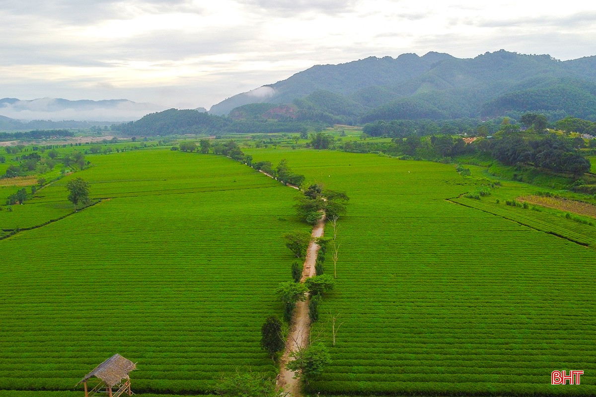 bqbht_br_1dji-0312.jpg
