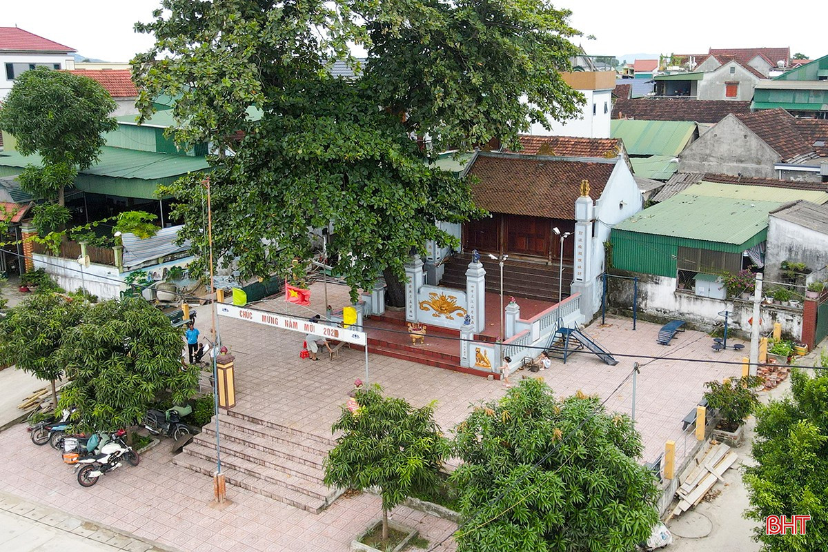 bqbht_br_1dji-0214.jpg