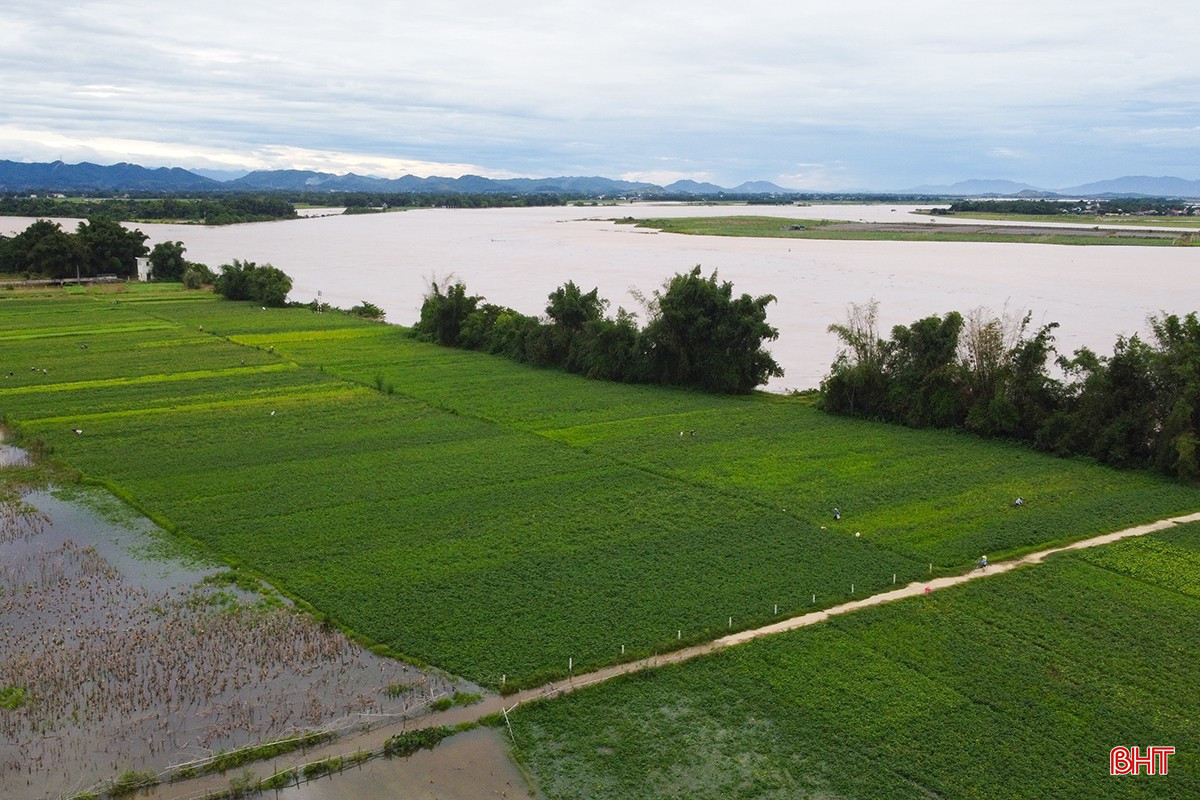 bqbht_br_0dji-0458.jpg