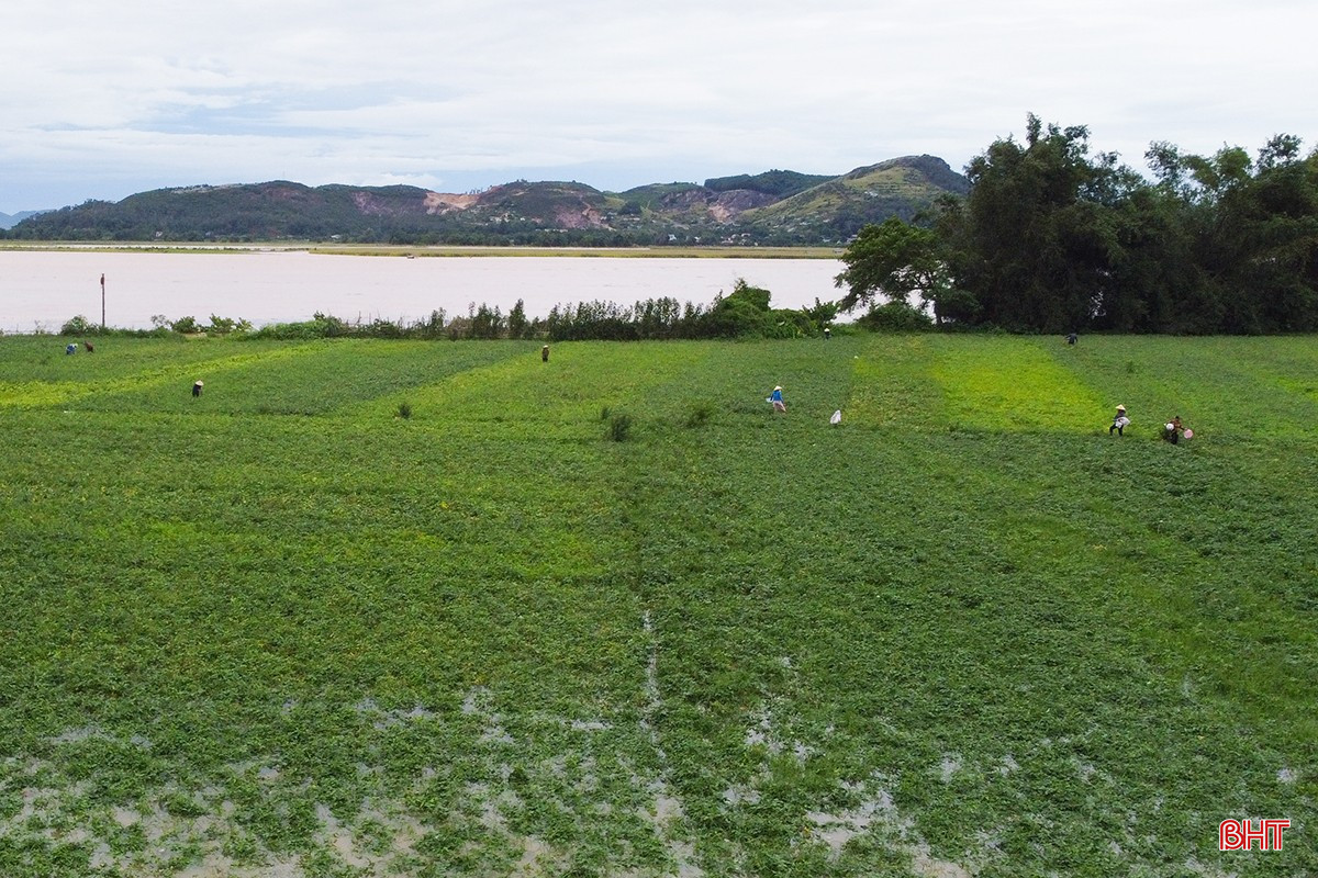 bqbht_br_0dji-0465.jpg