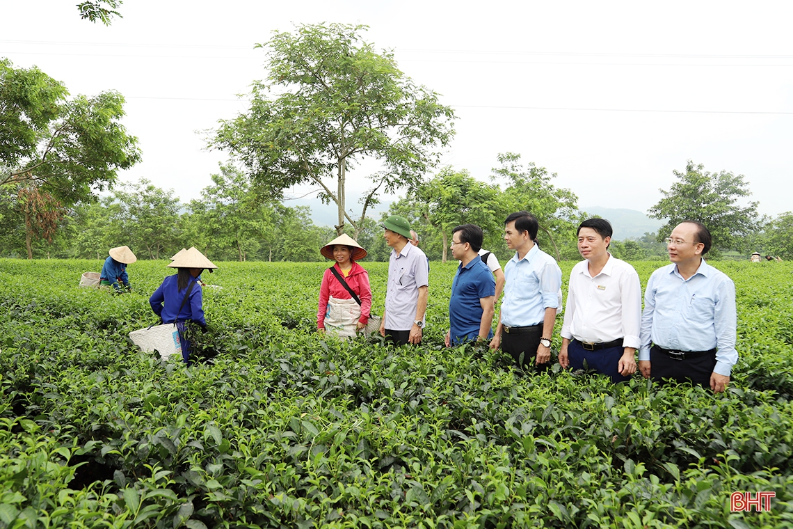 Hà Tĩnh vững vàng trên hành trình xây dựng nông thôn mới