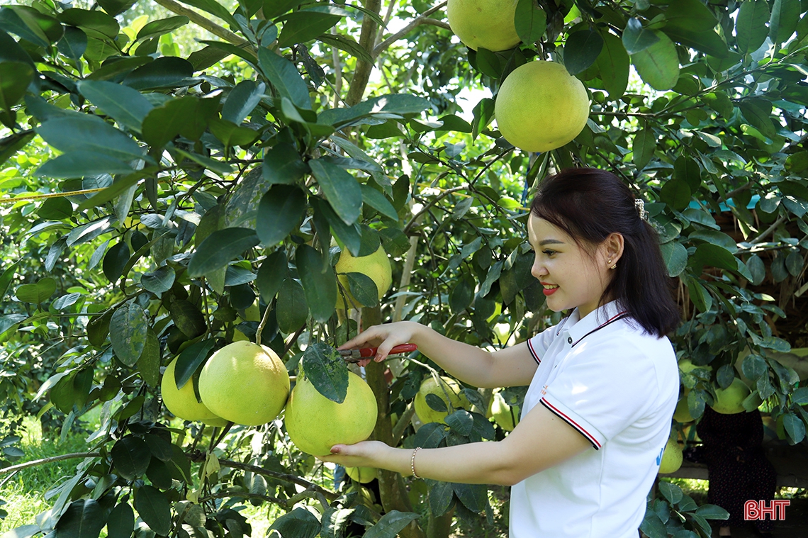 Hà Tĩnh vững vàng trên hành trình xây dựng nông thôn mới