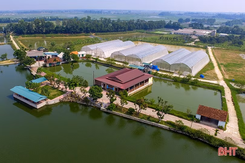 “Yêu nước thì phải thi đua”
