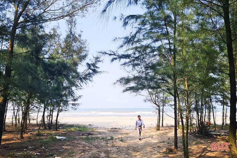 Cho những cánh rừng thêm xanh!