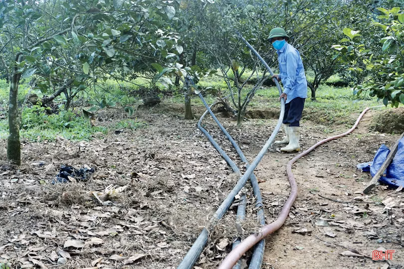 Nông dân Vũ Quang chủ động chống hạn cho hơn 2.600 ha cam