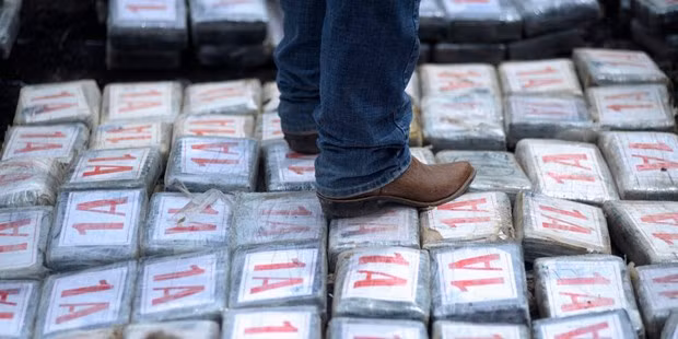 Cảnh sát Honduras thu giữ 1,5 tấn cocaine ở khu vực miền Bắc