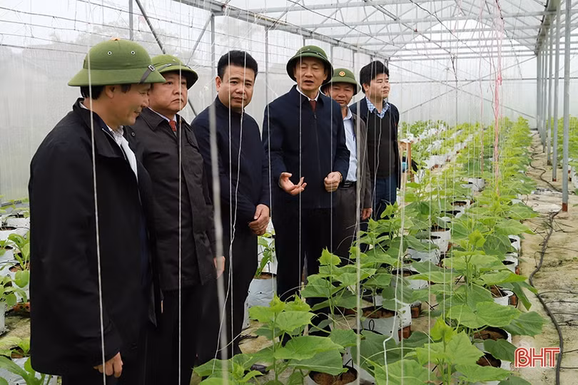 Tiếp tục phát triển sản xuất, hoàn thành các tiêu chí NTM nâng cao 