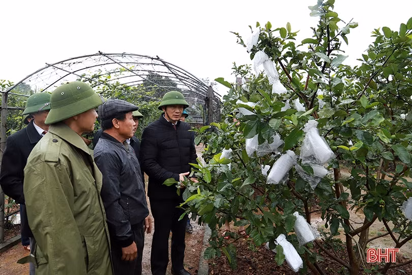 Kỳ Anh đặt mục tiêu xây dựng huyện nông thôn mới vào năm 2023