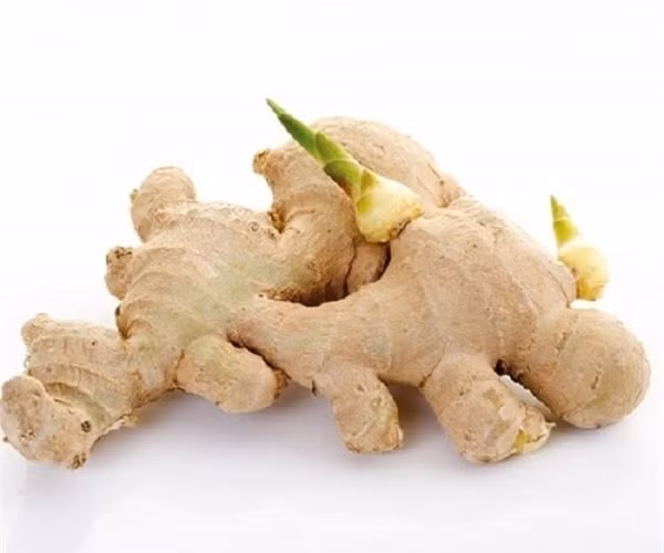 7 loại củ mọc mầm cực độc tàn phá gan, có thể gây chết người