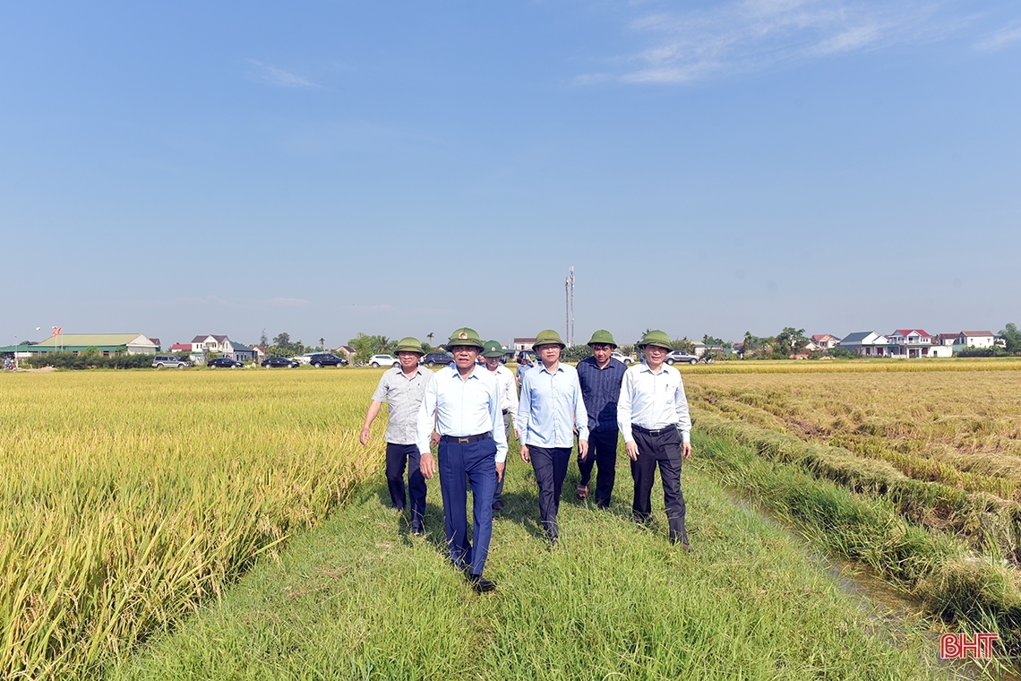 Huy động tối đa nhân lực, máy cơ giới để đẩy nhanh tiến độ thu hoạch lúa xuân