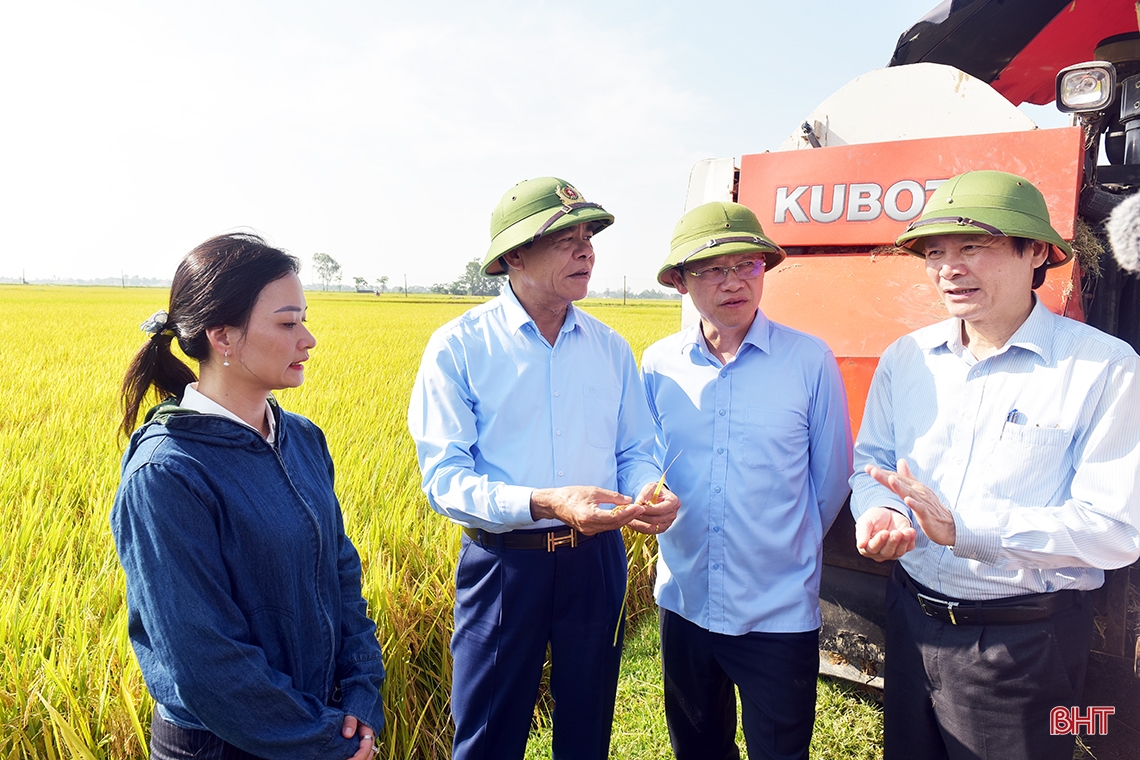 Huy động tối đa nhân lực, máy cơ giới để đẩy nhanh tiến độ thu hoạch lúa xuân