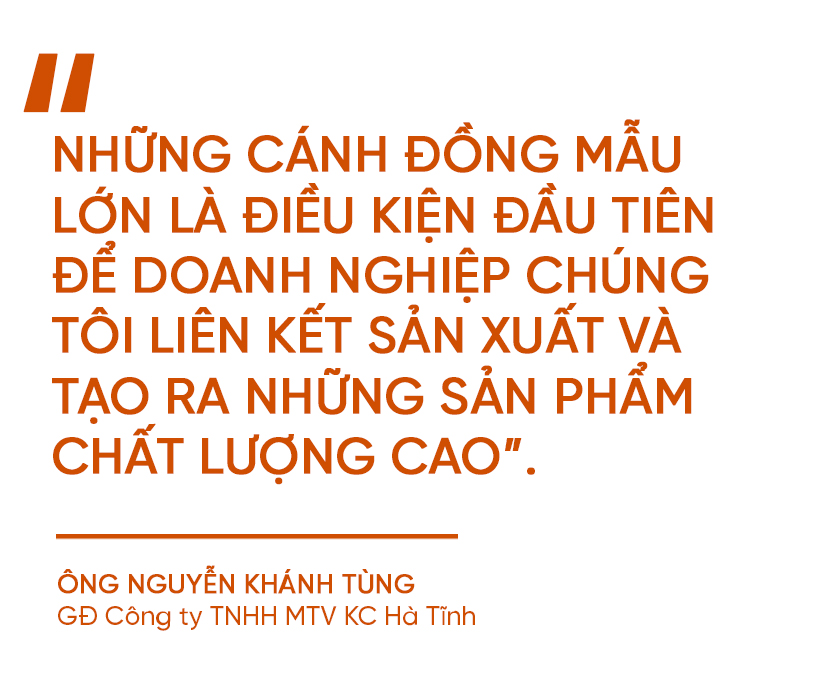 Phá bờ thửa nhỏ hình thành ô thửa lớn - cuộc cách mạng trong nông nghiệp Hà Tĩnh