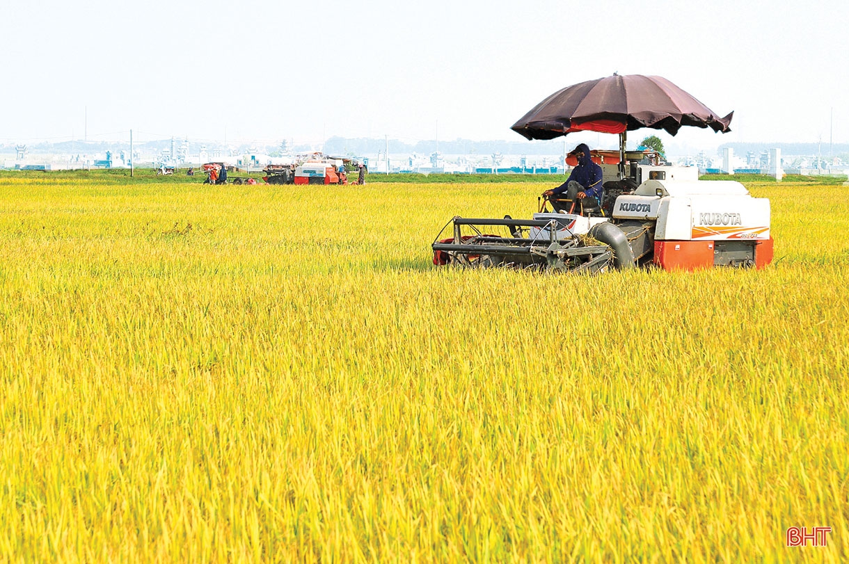 Phá bờ thửa nhỏ hình thành ô thửa lớn - cuộc cách mạng trong nông nghiệp Hà Tĩnh