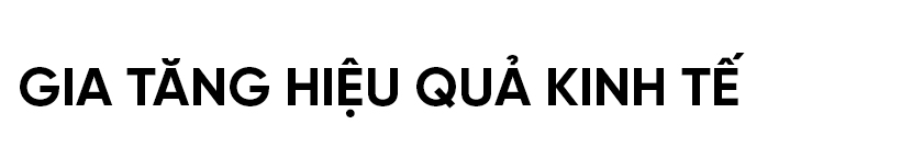 Phá bờ thửa nhỏ hình thành ô thửa lớn - cuộc cách mạng trong nông nghiệp Hà Tĩnh