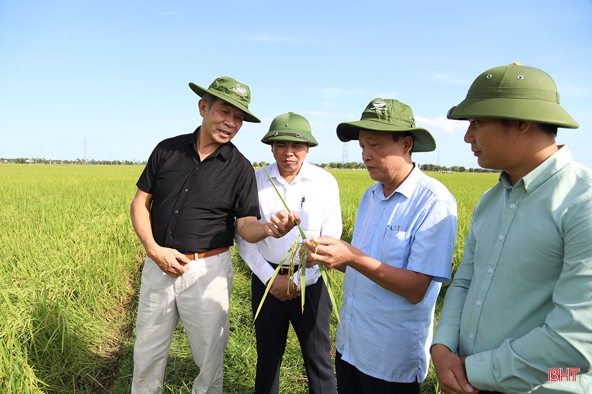 Phá bờ thửa nhỏ hình thành ô thửa lớn - cuộc cách mạng trong nông nghiệp Hà Tĩnh