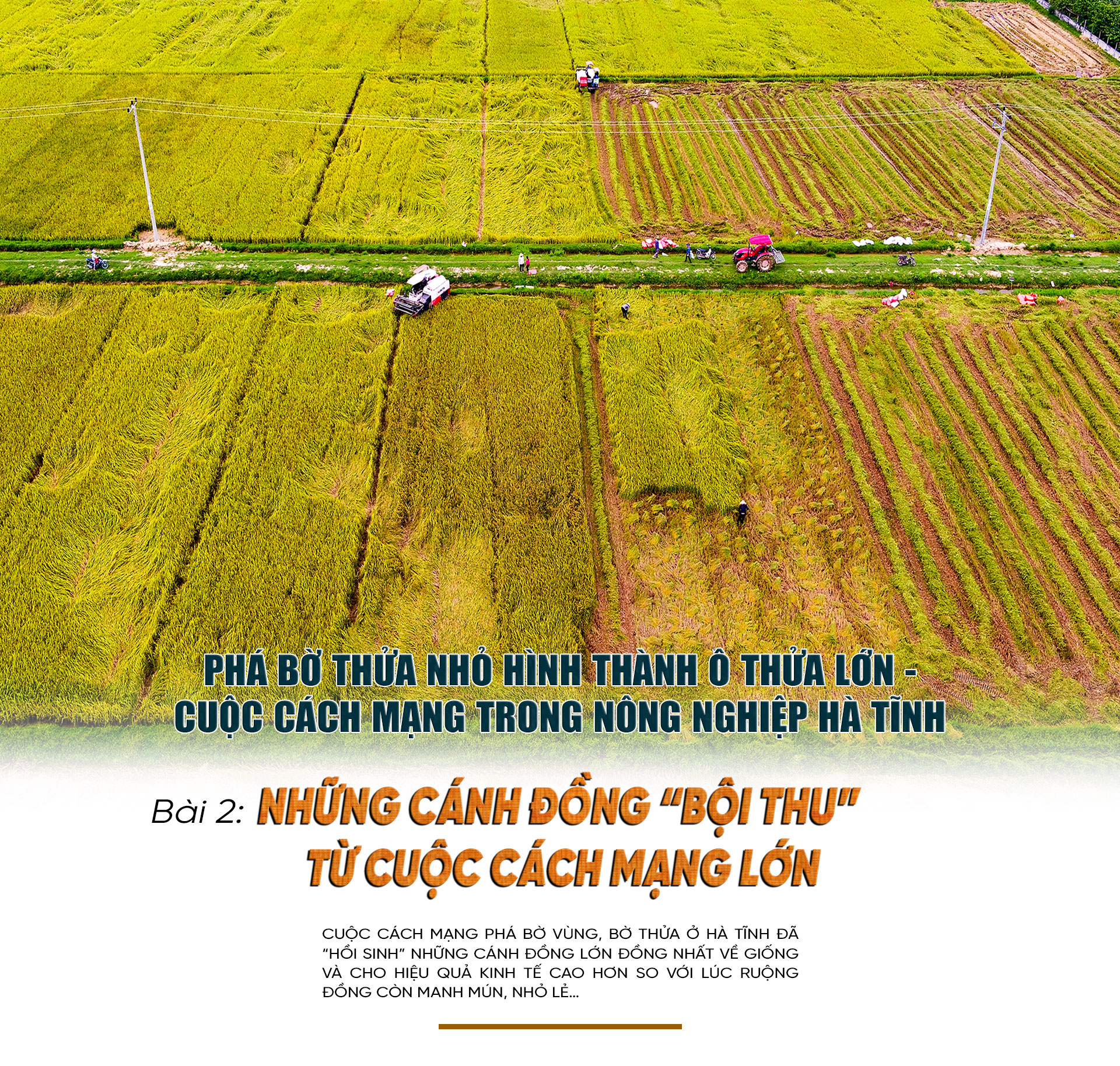 Phá bờ thửa nhỏ hình thành ô thửa lớn - cuộc cách mạng trong nông nghiệp Hà Tĩnh