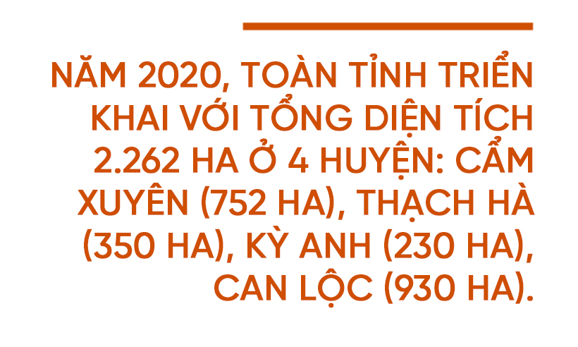 Phá bờ thửa nhỏ hình thành ô thửa lớn - cuộc cách mạng trong nông nghiệp Hà Tĩnh