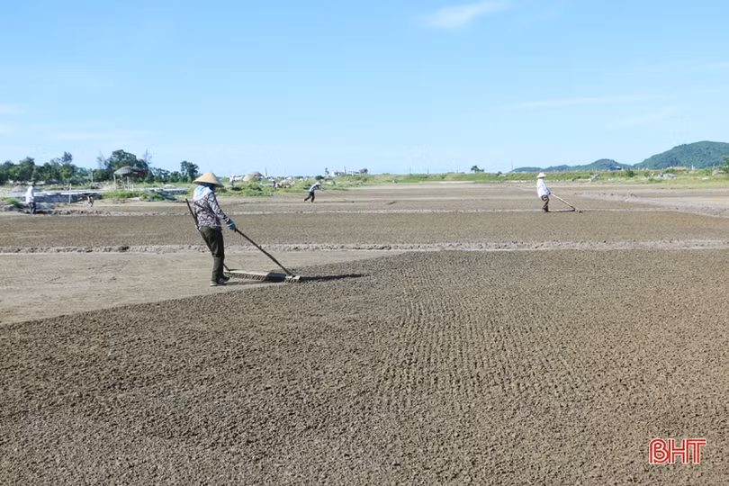 Những người “đón nắng” trên đồng muối Hà Tĩnh