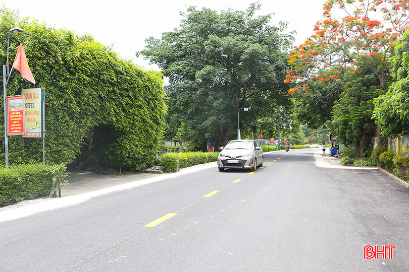 a5.jpg