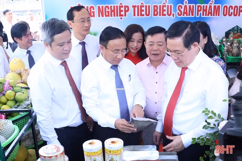 Phó Thủ tướng Vương Đình Huệ dự Hội nghị Tổng kết 10 năm xây dựng nông thôn mới Hà Tĩnh