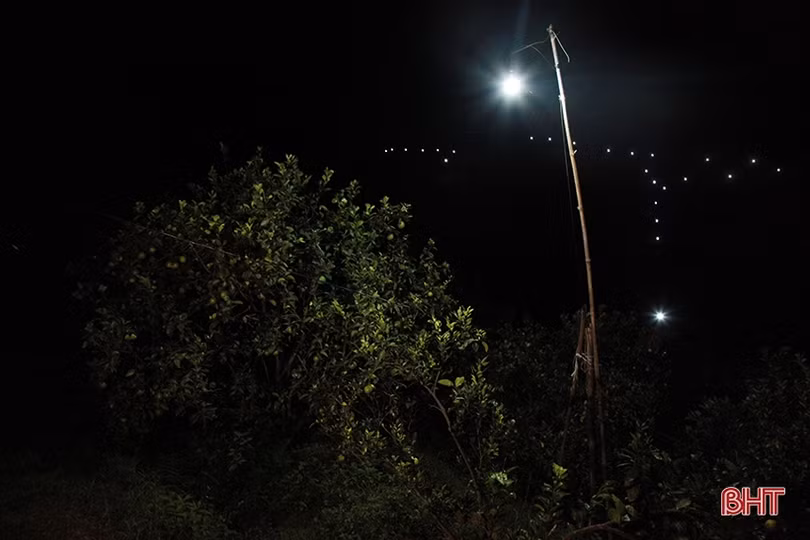 Người dân Hà Tĩnh soi đèn bắt loại côn trùng “đốt đâu rụng đó” bảo vệ vườn cam