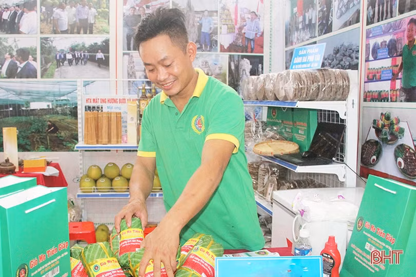 Phó Thủ tướng Vương Đình Huệ và các đại biểu ấn tượng với sản phẩm nông nghiệp, nông thôn tiêu biểu Hà Tĩnh