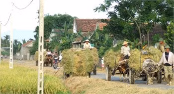 Ngày mùa trên quê hương Thiên Lộc - Đơn vị Anh hùng Lao động thời kỳ đổi mới.