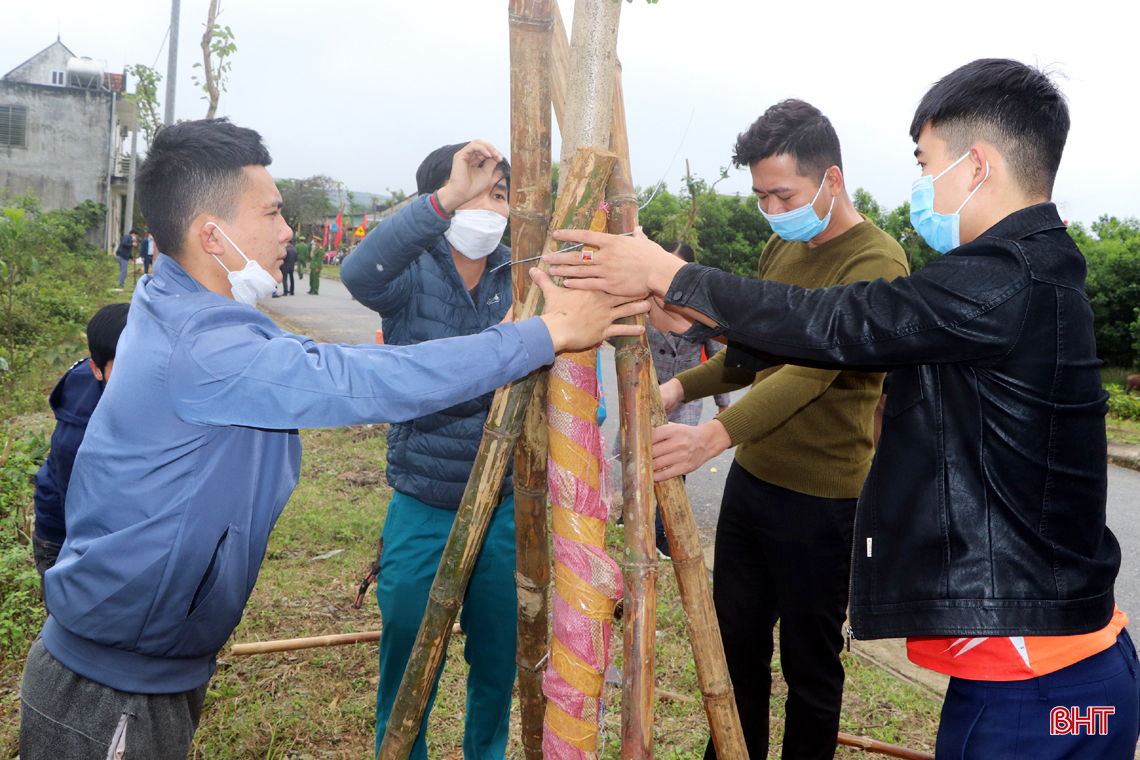 Chủ tịch UBND tỉnh Hà Tĩnh tham gia trồng cây tại các địa phương