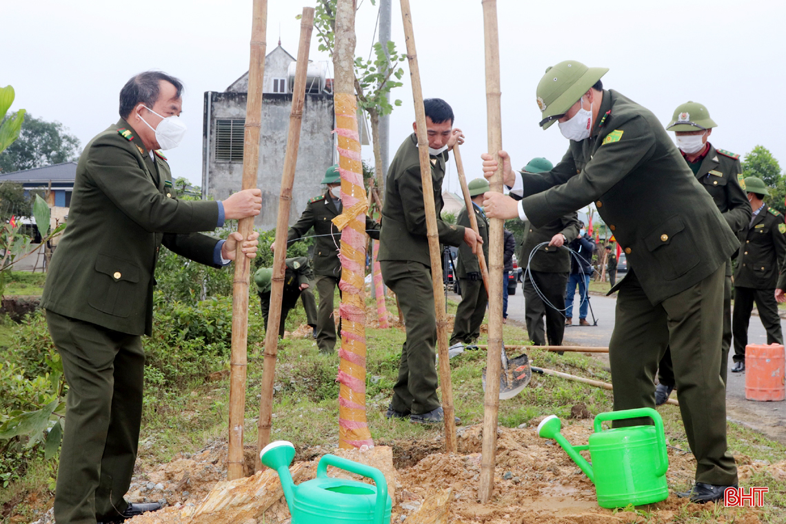 Chủ tịch UBND tỉnh Hà Tĩnh tham gia trồng cây tại các địa phương