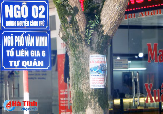 buc het cho noi voi muon kieu rao vat