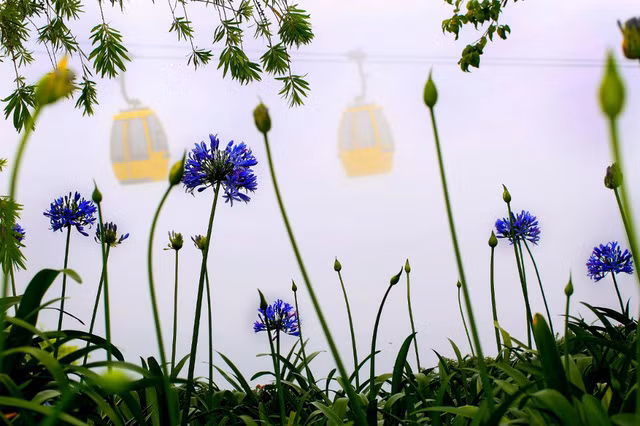 dam say sac hoa ba na hills