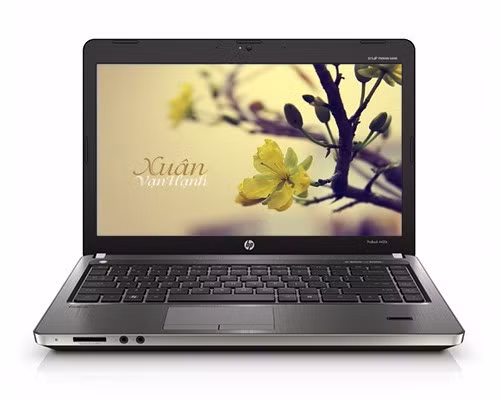 Tương tự như HP 450 nhưng HP ProBook P4440s có kiểu dáng đẹp hơn và đậm chất doanh nhân hơn dù giá bán cũng vẫn ở mức dưới 10 triệu đồng. Máy trang bị màn hình 14 inch độ phân giải HD, vi xử lý Intel Core i3-3110M, RAM 2 GB, ổ cứng dung lượng 500 GB. Giá tham khảo là 9,9 triệu đồng.