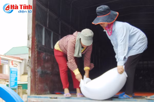 cac dia phuong tiep nhan phan bo gao ho tro anh huong mua bao