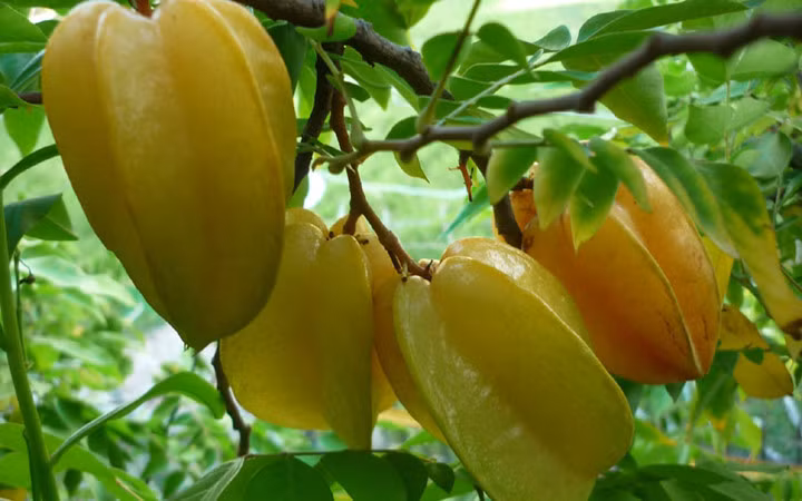 nguoi bi viem xoang nen an uong nhu the nao