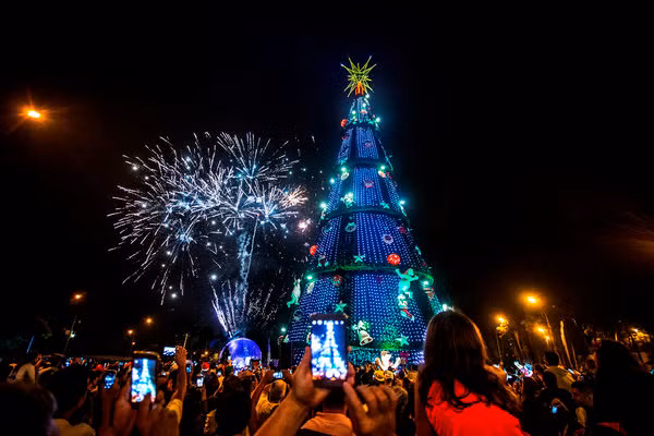 chiem nguong 21 cay thong noel dep nhat the gioi nam 2016