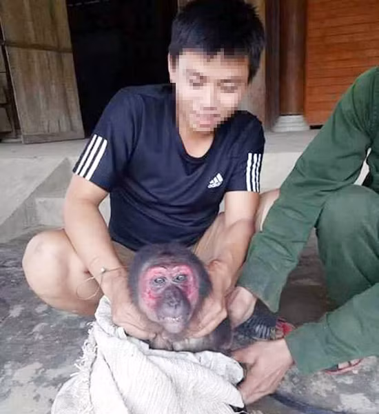 nam thanh nien dang anh san bat dong vat hoang da la hoc sinh lop 12