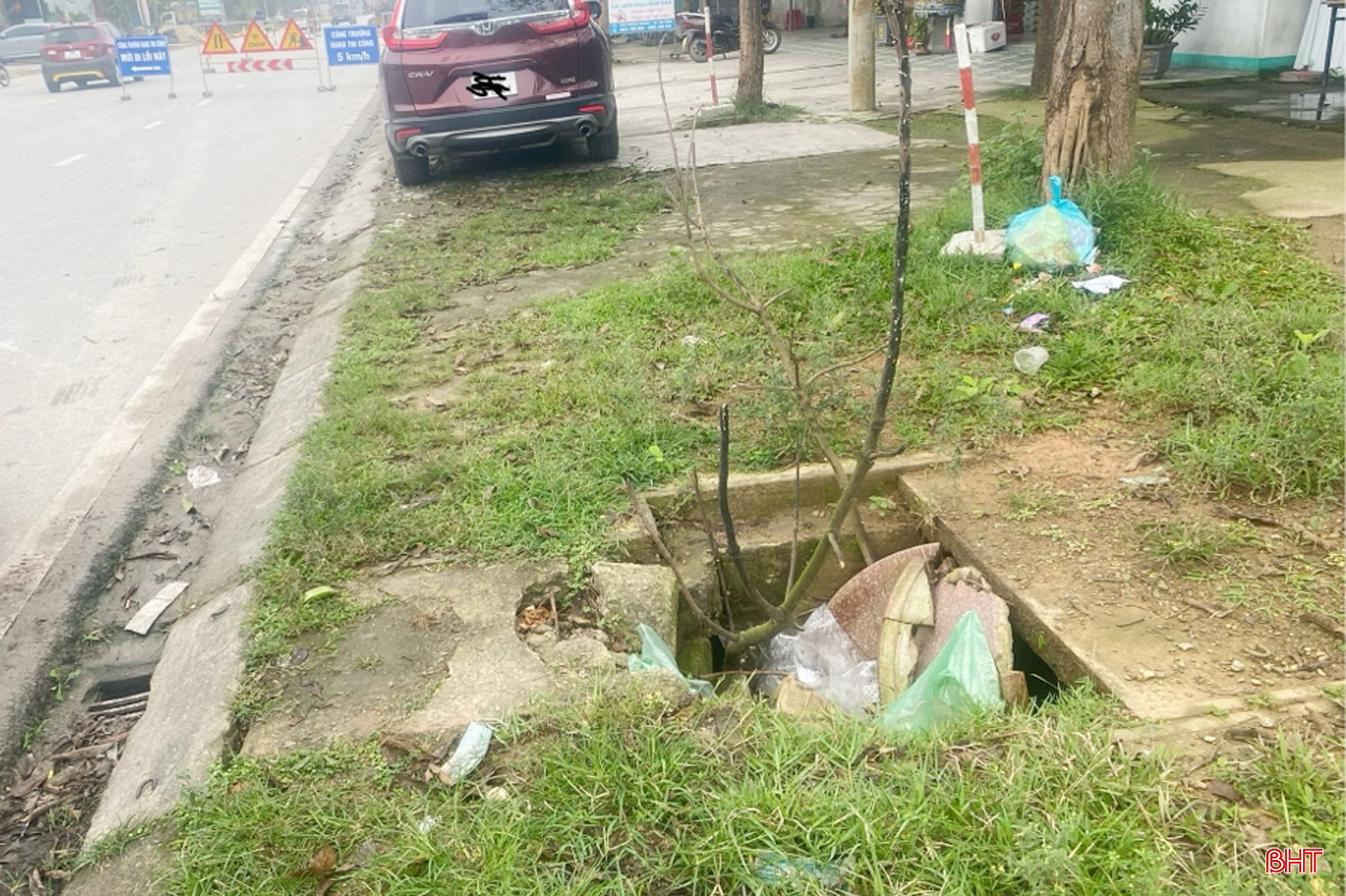 bqbht_br_tran-phua.jpg
