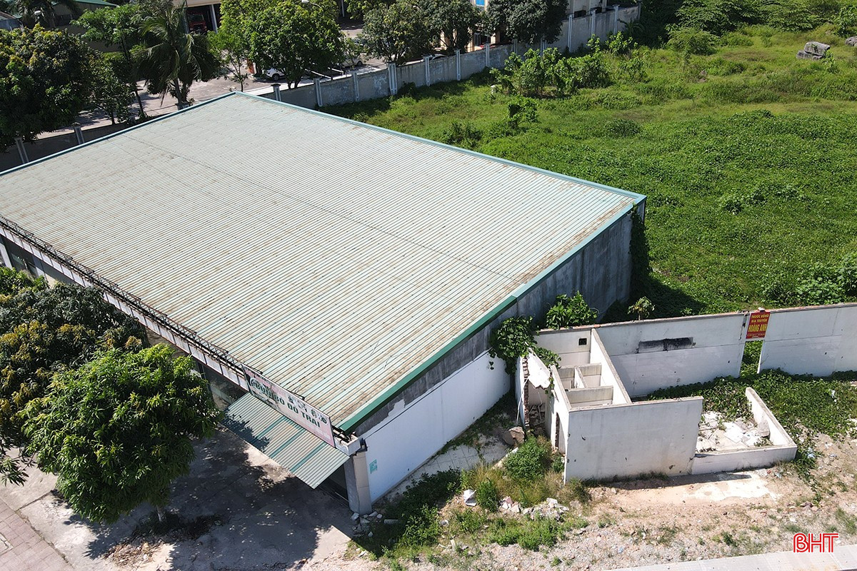 bqbht_br_adji-0163.jpg