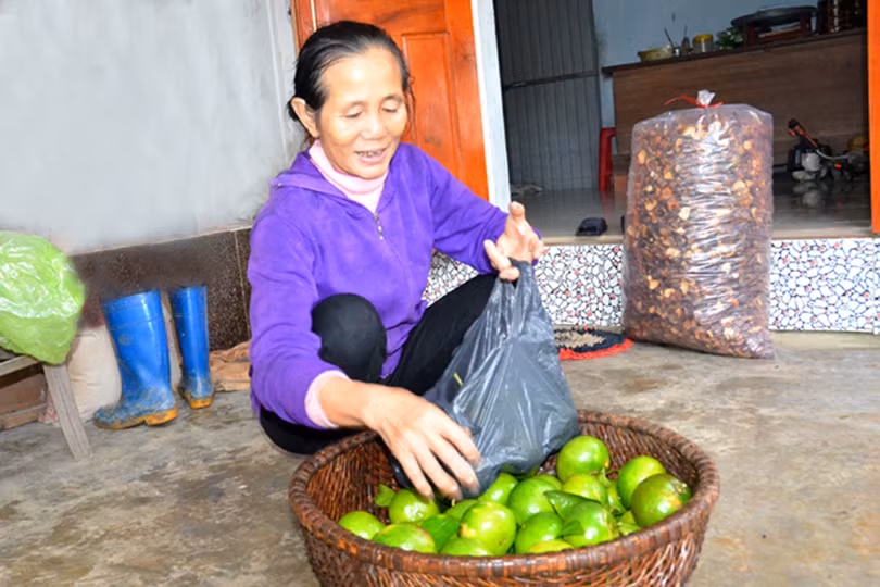 Lên vùng thượng Kỳ Anh, xem Bí thư Chi bộ tiên phong làm “vườn sạch”