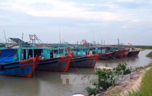 quang ninh den ha tinh chu dong ung pho bao