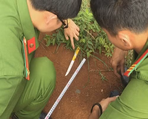 doat mang tinh tre bang nhat dao xuyen bung