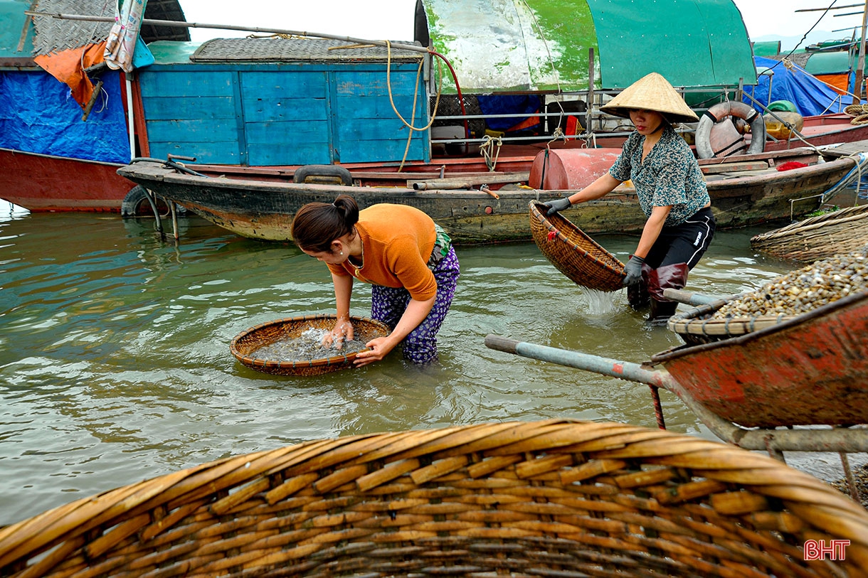 Về làng chao hến bên bờ sông La