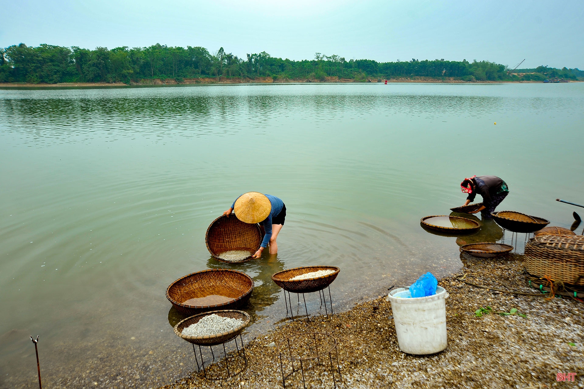 Về làng chao hến bên bờ sông La