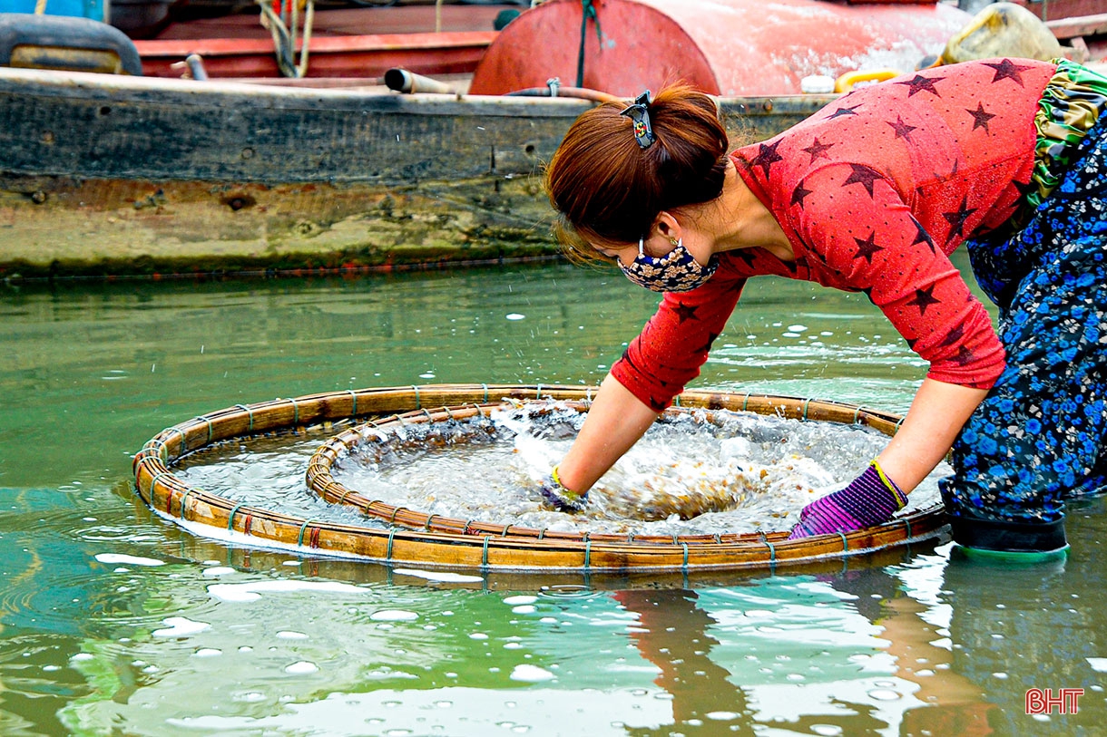 Về làng chao hến bên bờ sông La