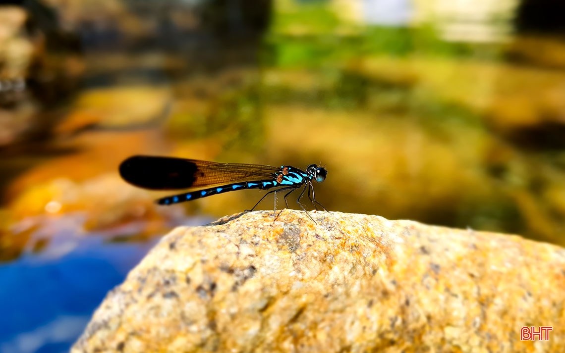 Hành trình vượt hơn 14 km đường rừng khảo sát thác Vũ Môn